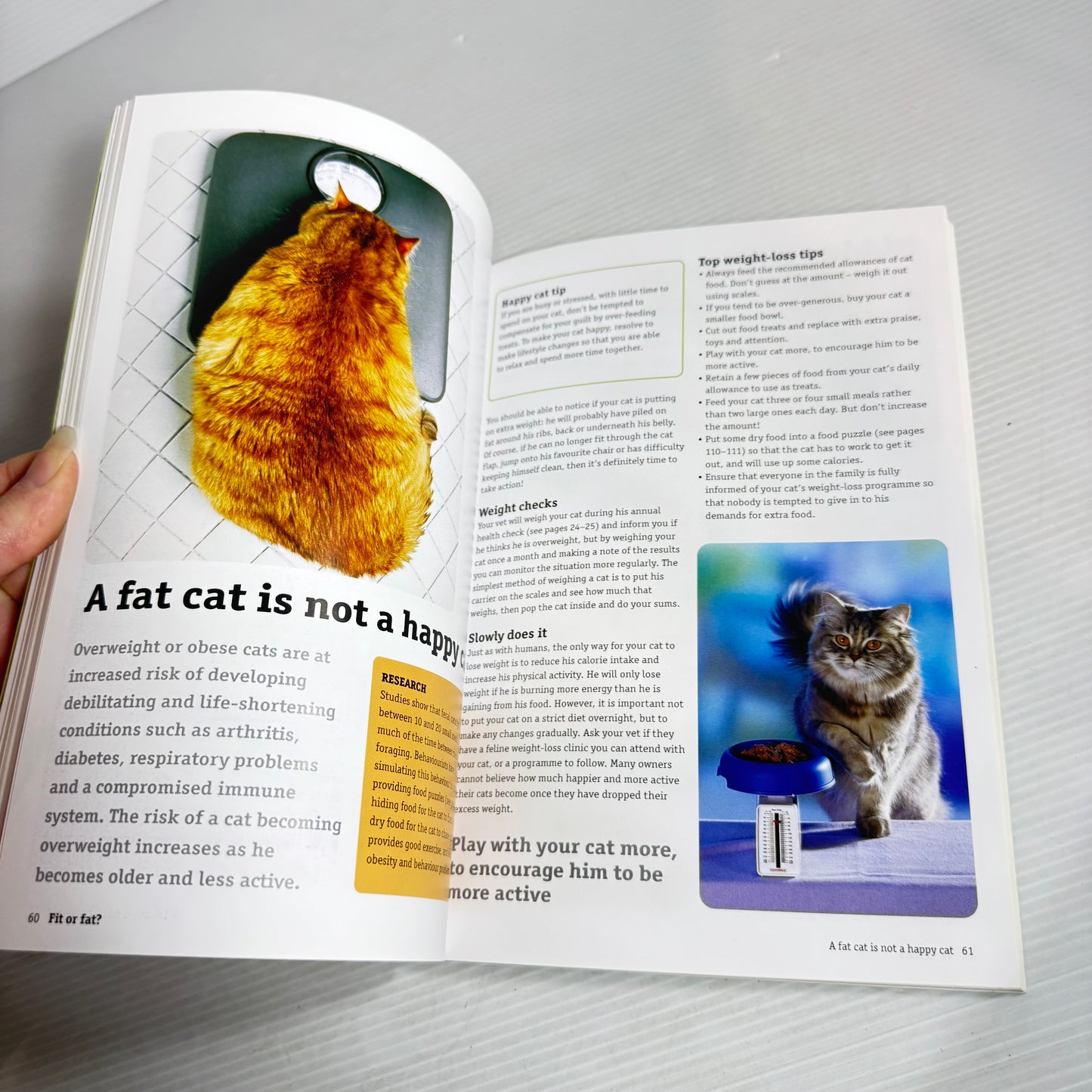 Cat Lovers Book Bundle x 3 : Meow, How to Have a Happy Cat, Roger Caras' Treasury of Great Cat Stories (2858)