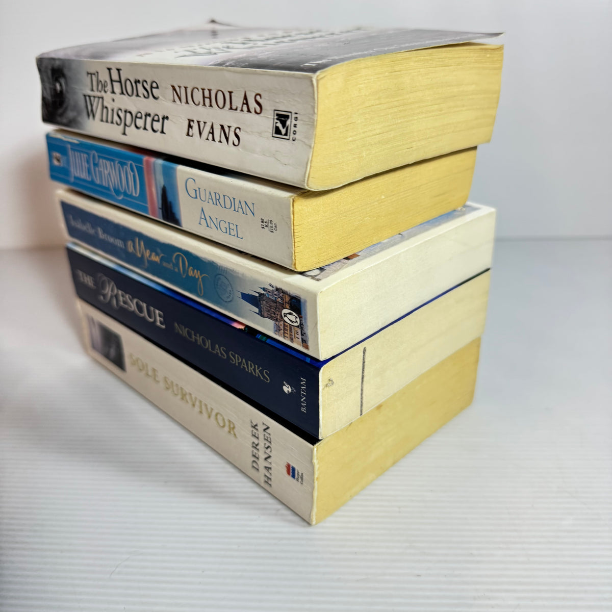 Historical Fiction Bundle x 5 : Guardian Angel - Julie Garwood, The Horse Whisperer - Nicholas Evans, The Rescue - Nicholas Sparks, A Year and a day - Isabelle Broom, Sole Survivor - Derek Hansen  (3365)