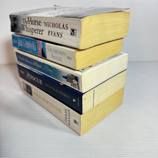 Historical Fiction Bundle x 5 : Guardian Angel - Julie Garwood, The Horse Whisperer - Nicholas Evans, The Rescue - Nicholas Sparks, A Year and a day - Isabelle Broom, Sole Survivor - Derek Hansen  (3365)