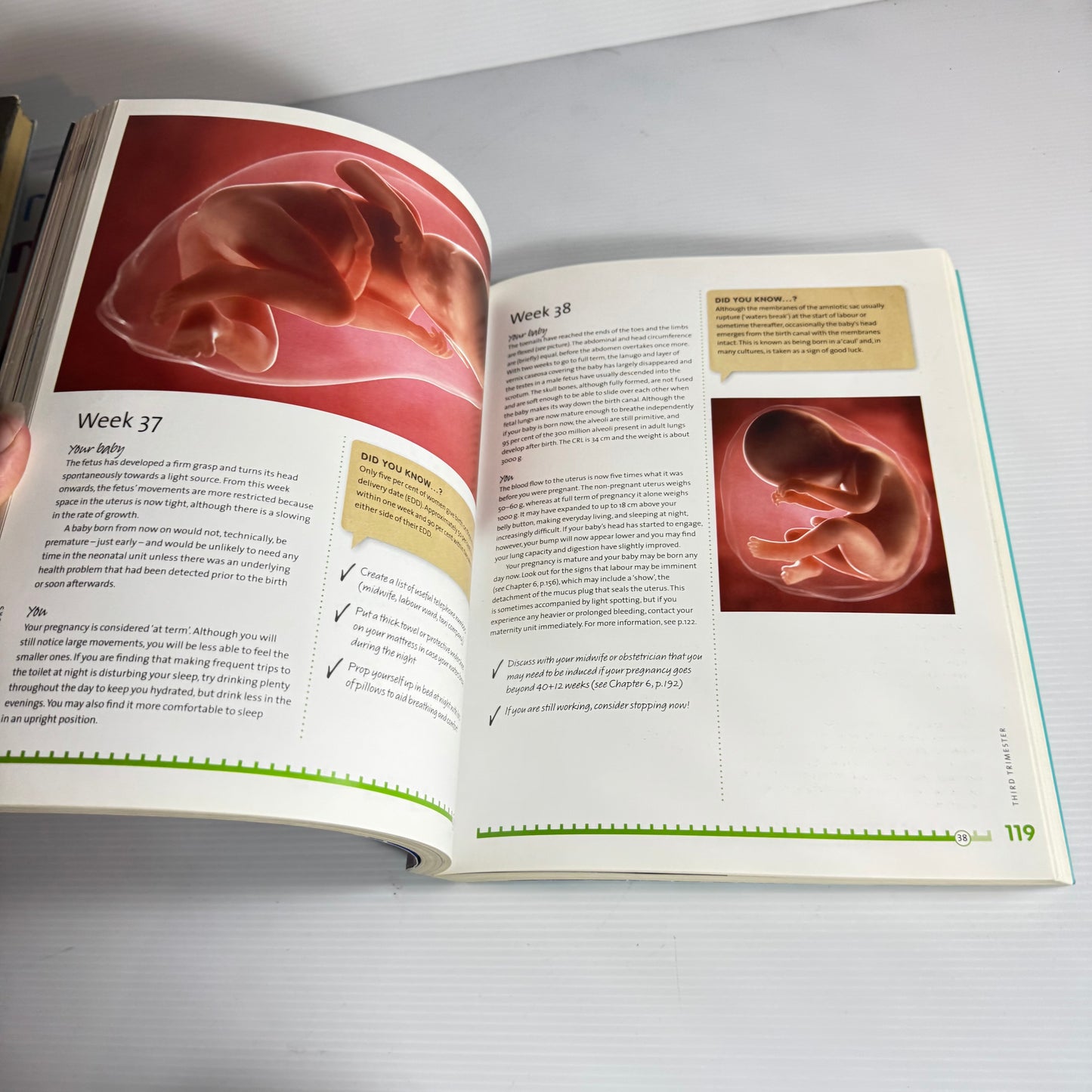 Expecting A Baby? - Dr Penelope Law