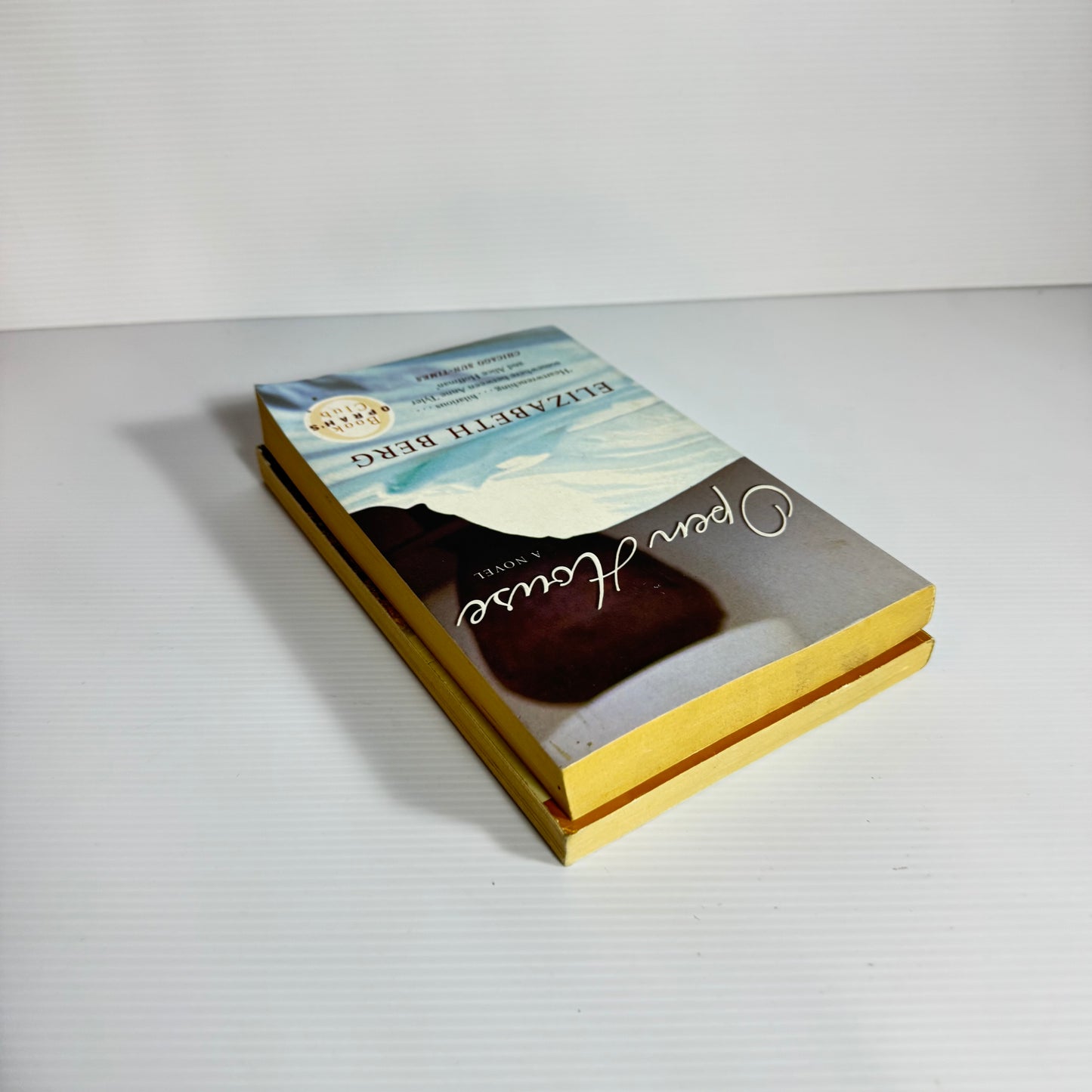 Elizabeth Berg Book Bundle x 2 : Open House & Ordinary Life (3053)
