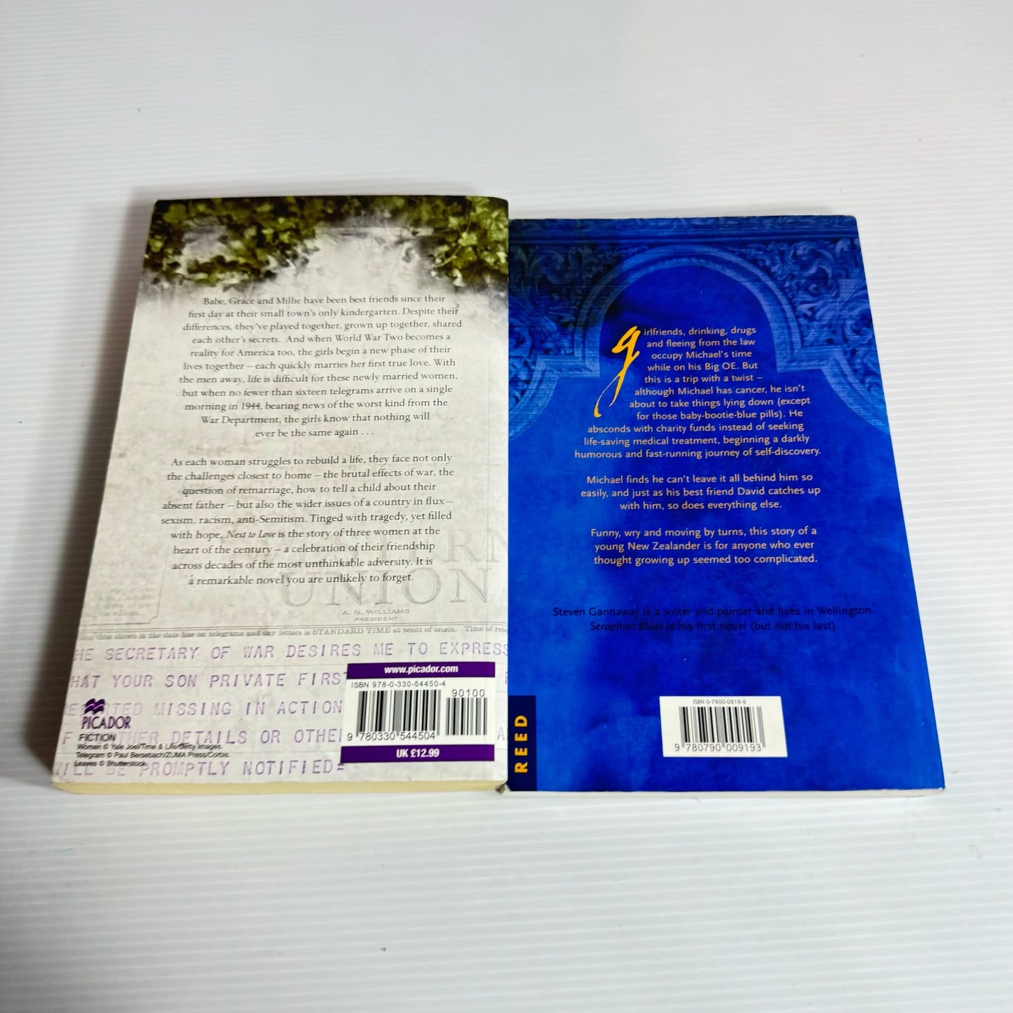 Fiction Book Bundle x 2 Books : Seraphim Blues - Steven Cannaway & Next to Love Ellen Feldman (2145)