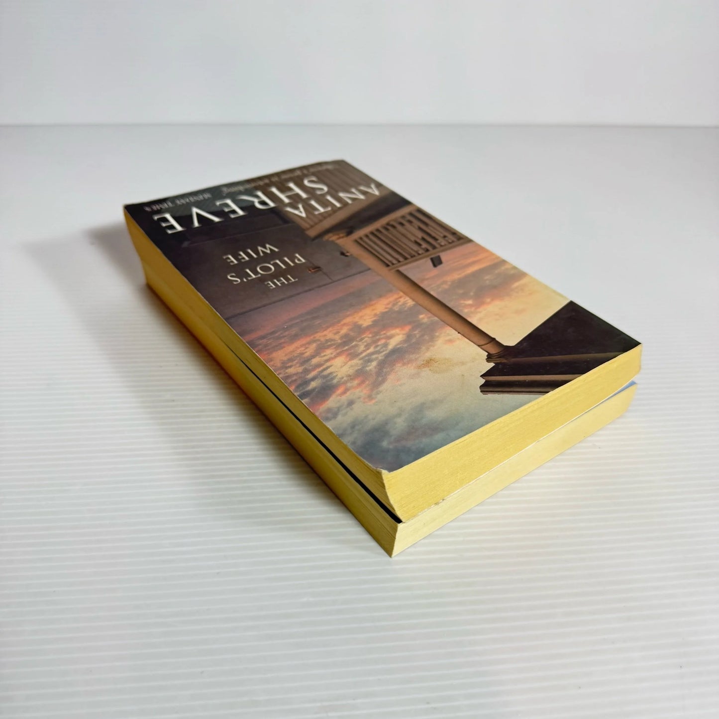 Anita Shreve Book Bundle x 2 Books : Body Surfing & The Pilots Wife (2161)