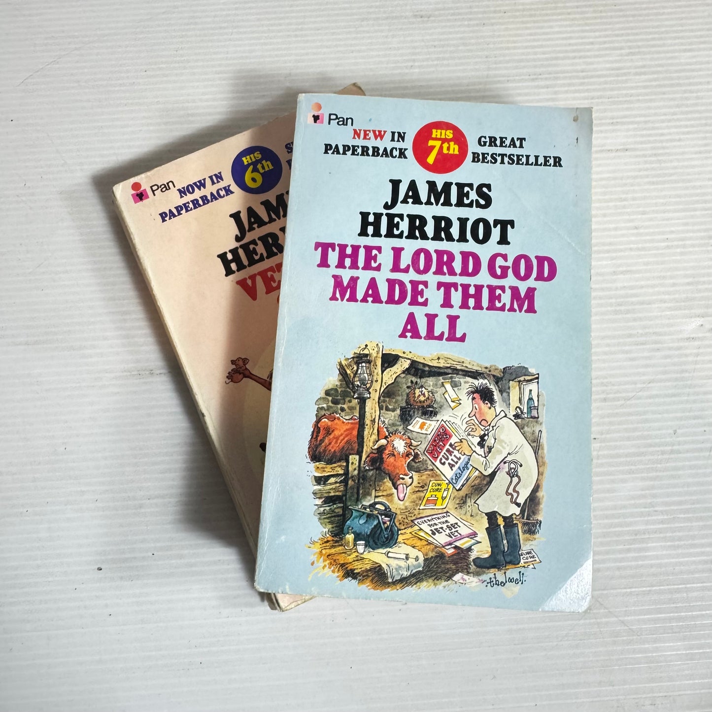 James Harriot Vintage Book Bundle x 2 - Vet In A Spin (1977) & The Lord God Made Them All (1982)(2837)