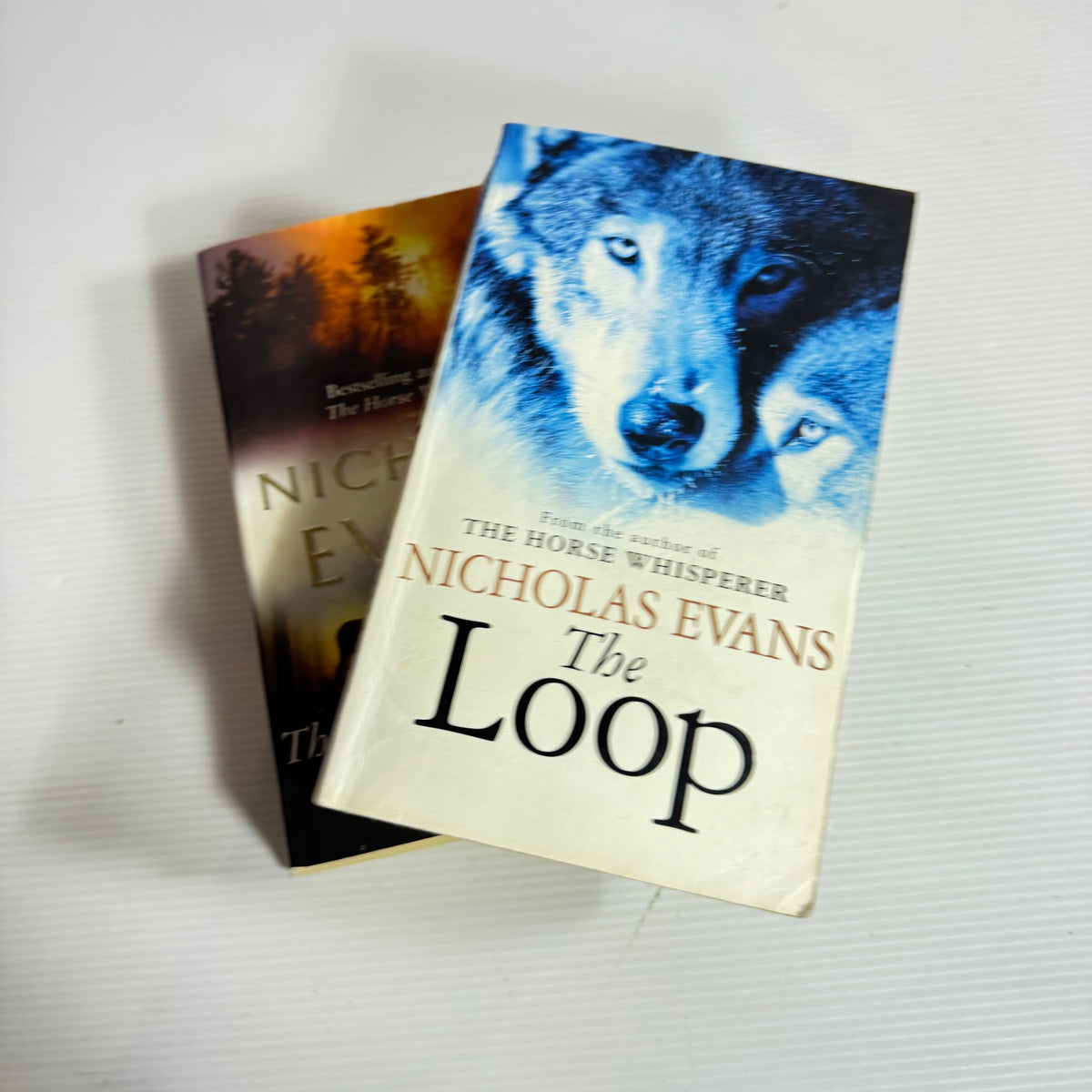Nicolas Evans Bundle x 2 : The Loop & The Smoke Jumper (3425)