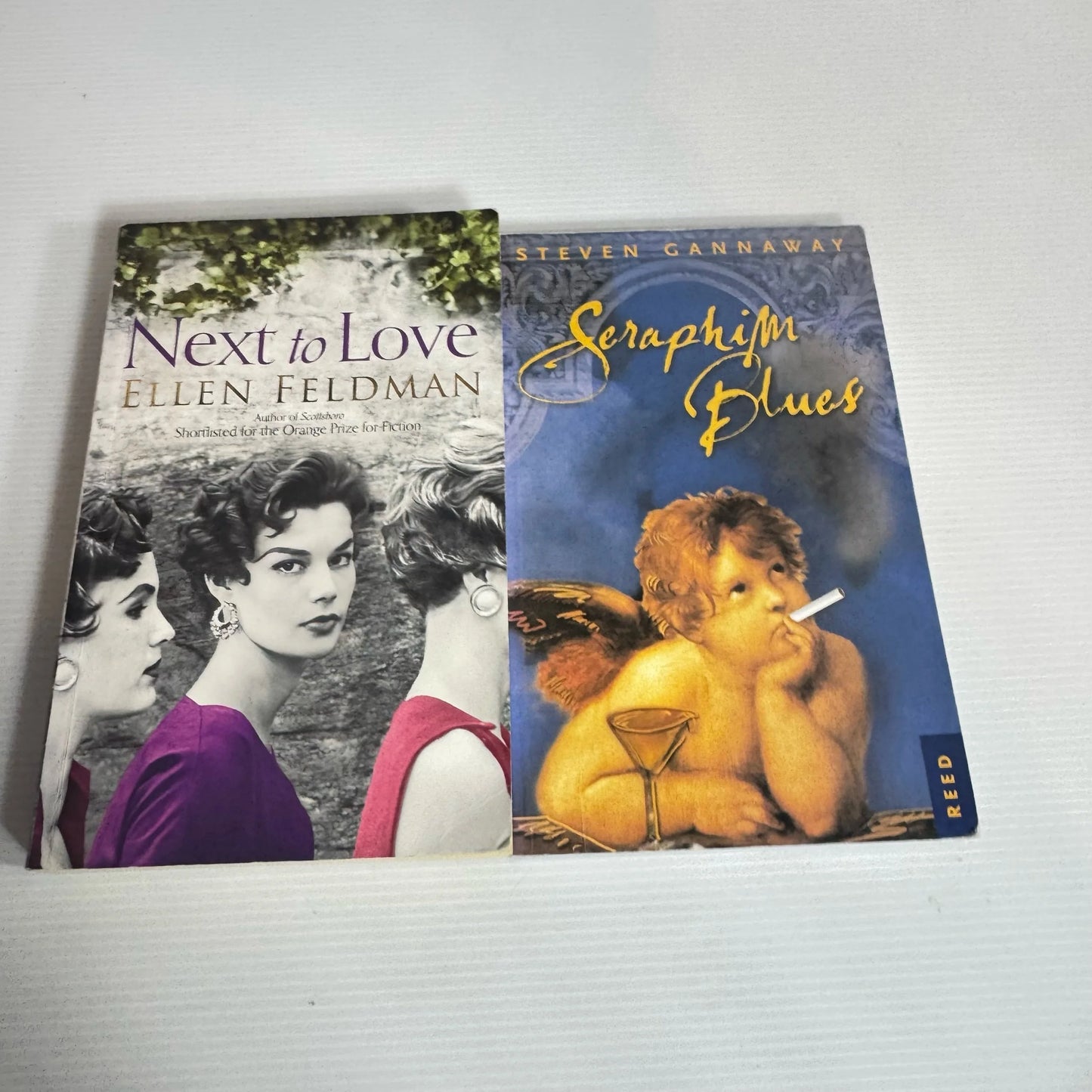 Fiction Book Bundle x 2 Books : Seraphim Blues - Steven Cannaway & Next to Love Ellen Feldman (2145)