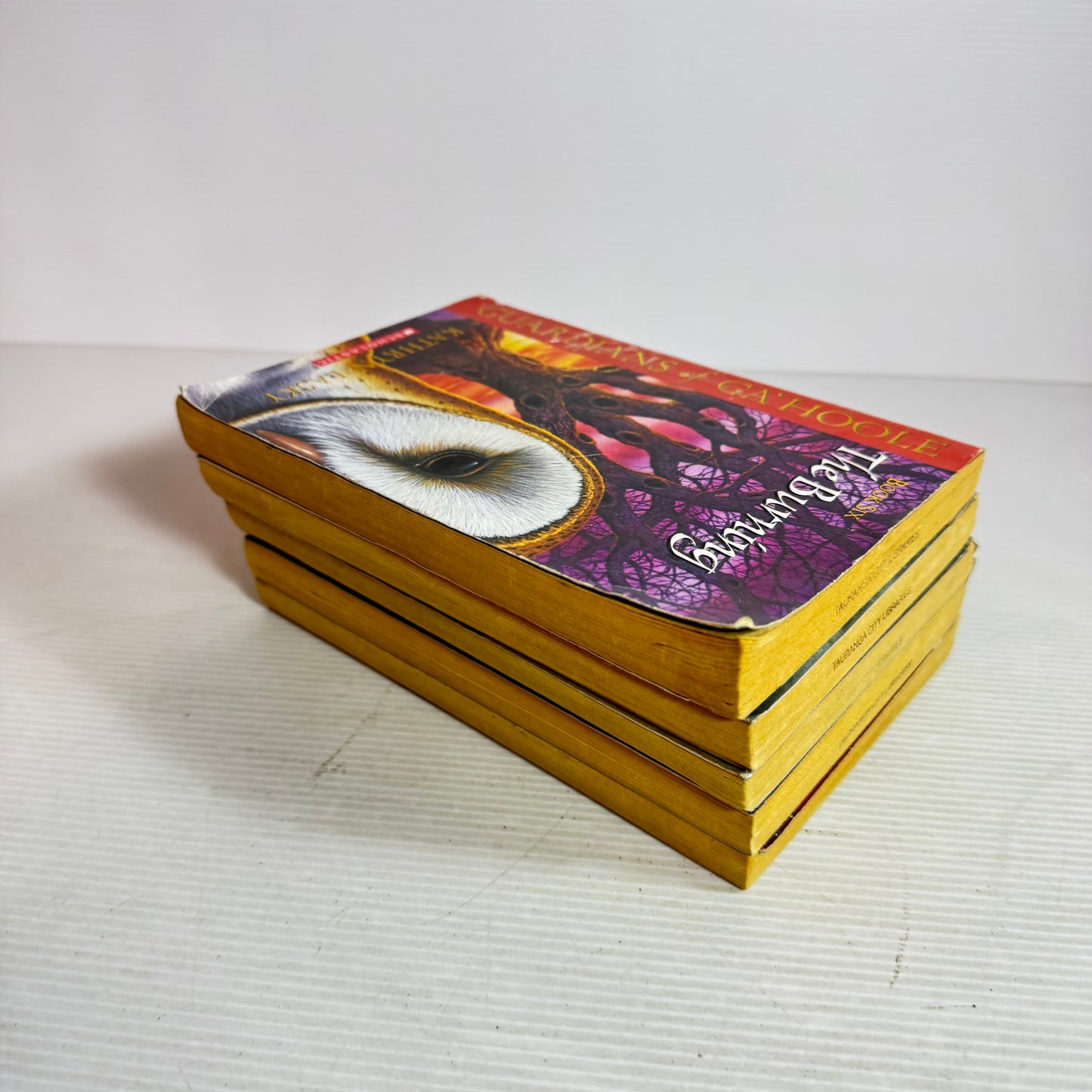 Guardians of Ga' Hoole Book Bundle - Kathryn Lasky x 5 Books : The Burning, The Hatchling, The Outcast, To Be A King, The Coming of Hoole(2875)
