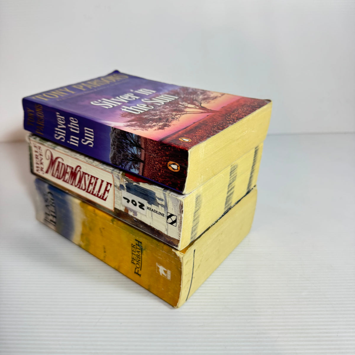 Family Saga Bundle x 3 : Silver in the Sun - Tony Parsons, The Last Hero - Peter Forbath, Mademoiselle - Merle Jones (3377)