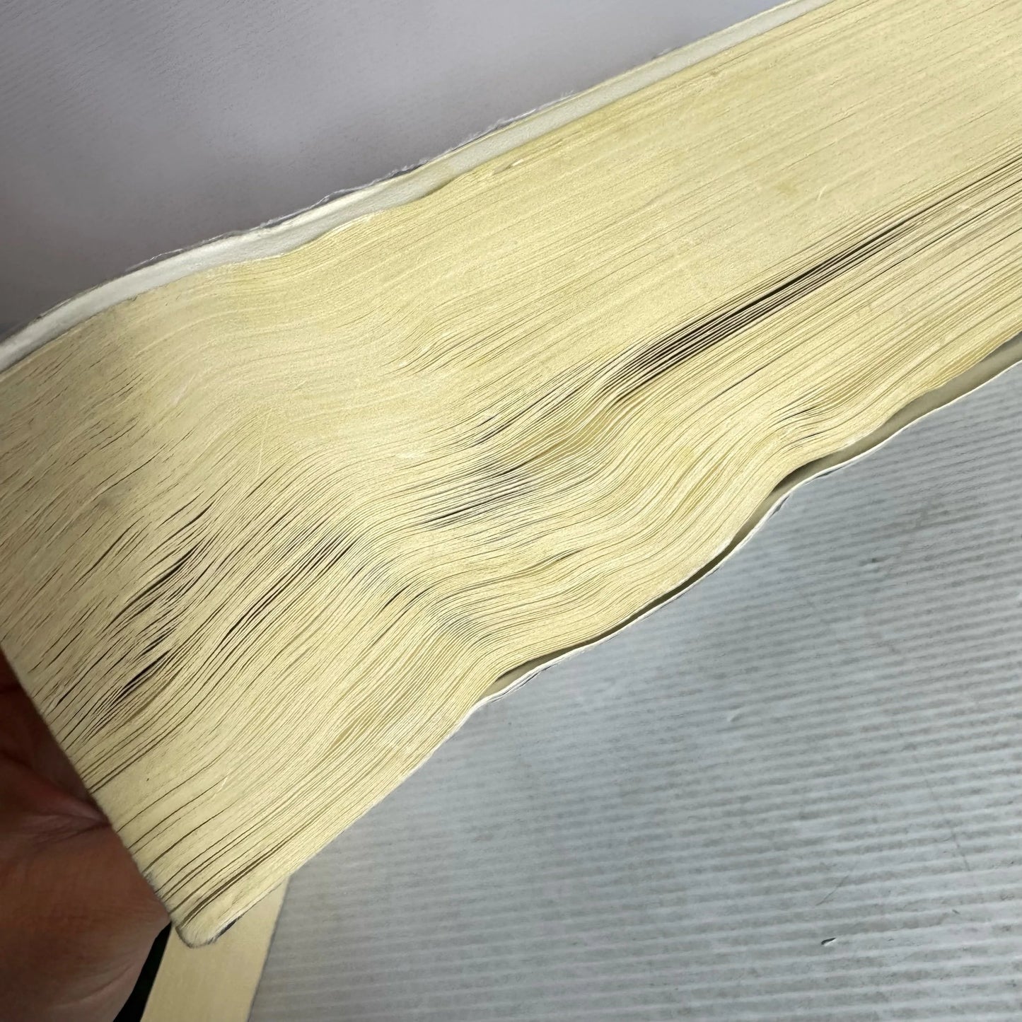 The Demi Monde - Rod Rees Book Bundle x 2 Books : Spring & Winter (2095)