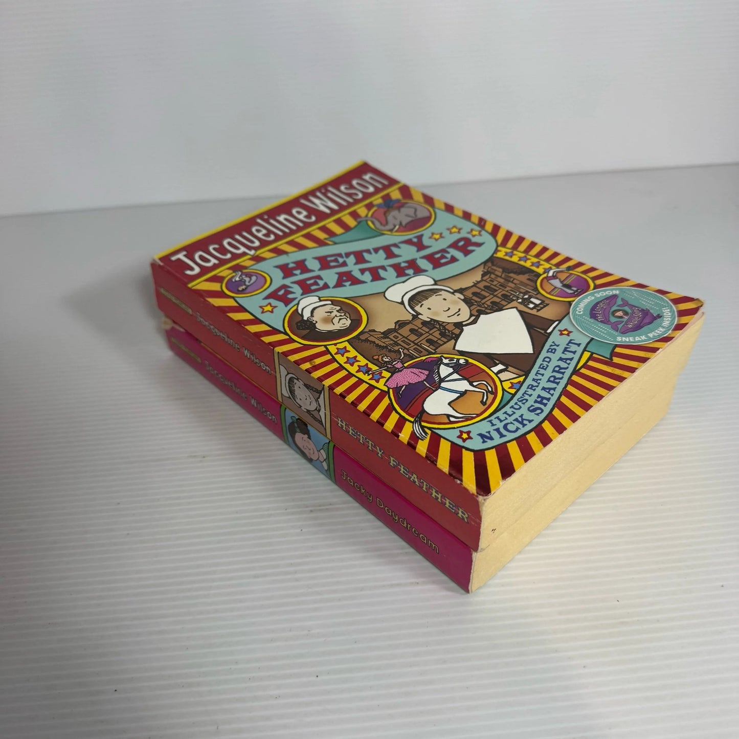 Jacqueline Wilson Book Bundle x 2 Books : Jacky Daydream & Hetty Feather (2315)