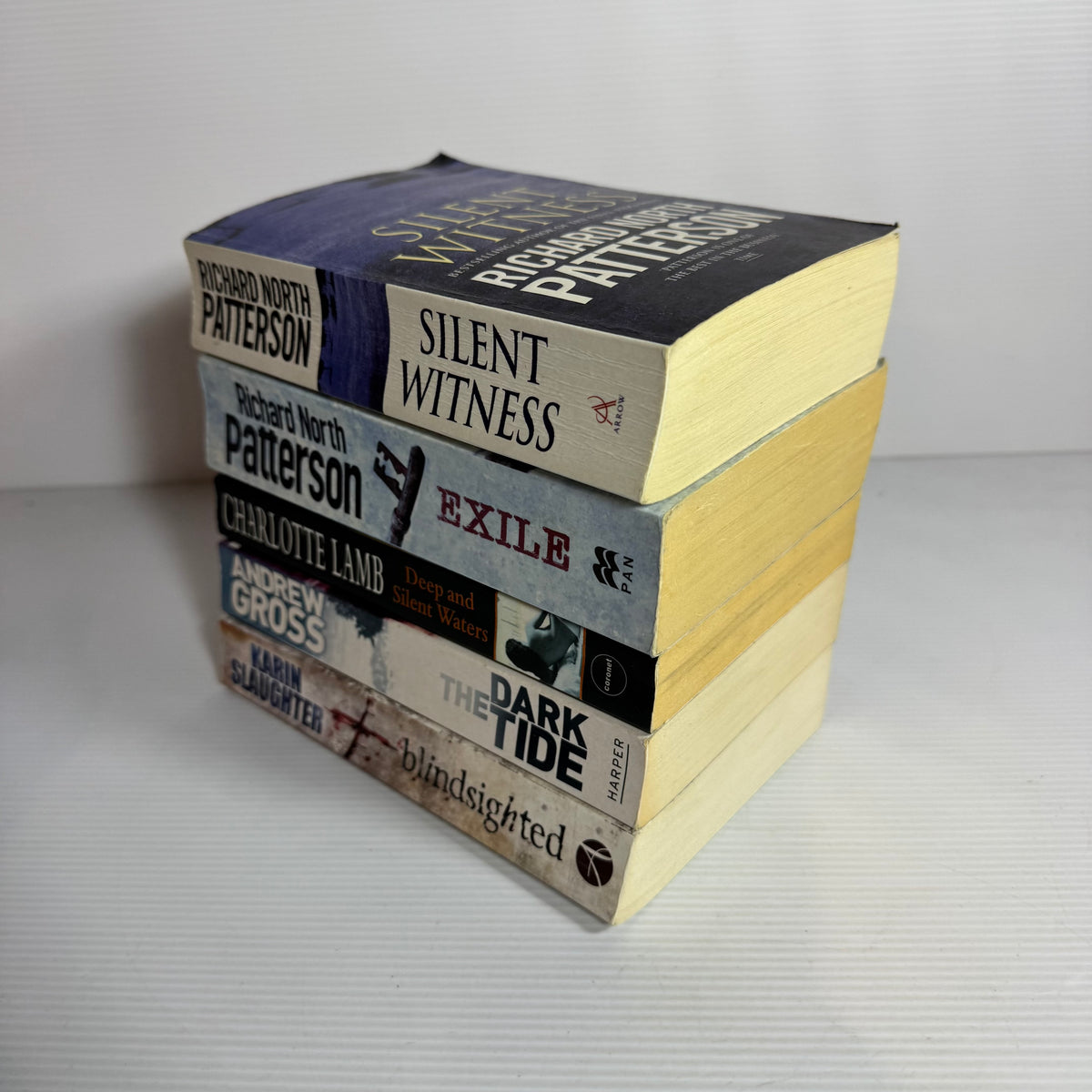Thriller Suspense Bundle x 5 : The Dark Tide - Andrew Cross, Blindslighted - Karin Slaughter, Deep and Silent Waters - Charlotte Lamb, Exile & Silent Witness - Richard North Patterson (3444)
