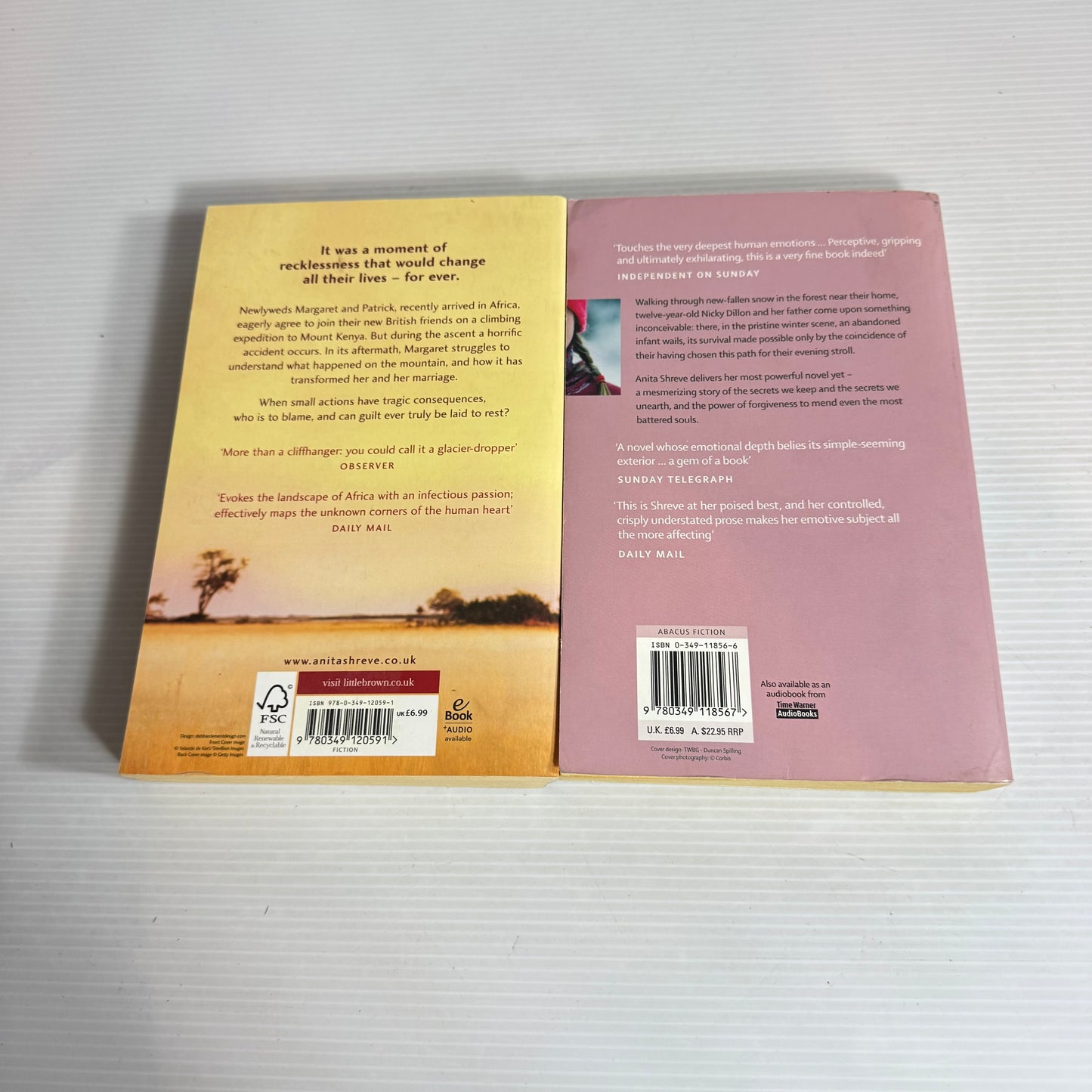 Anita Shreve Book Bundle x 2 Books - Light On Snow & A Change In Altitude (2532)