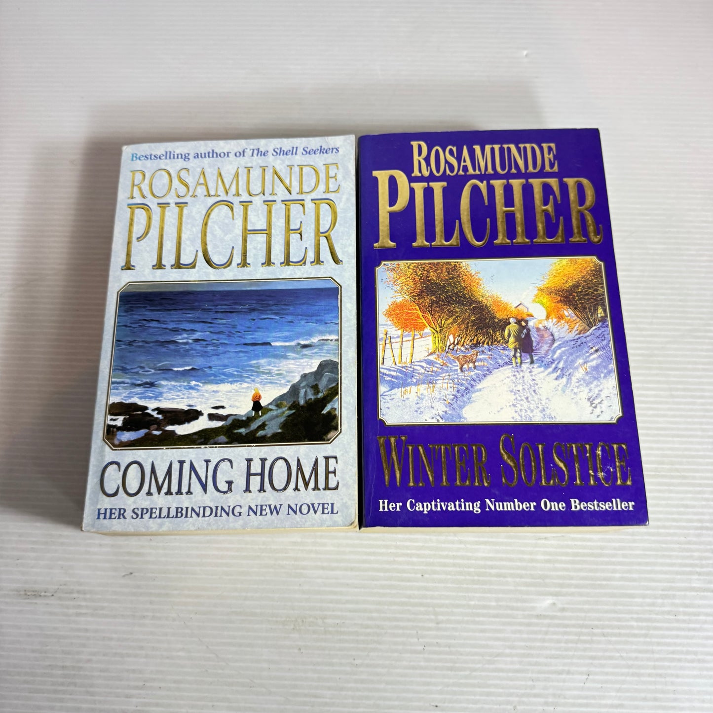 Rosamunde Pilcher Book Bundle x 2 : Winter Solstice & Coming Home (2969)