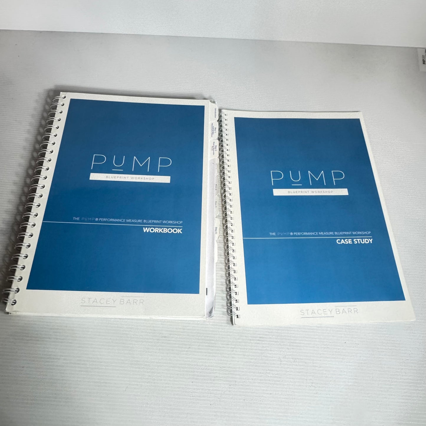 The PUMP Performance Measure Bluebprint Workshop Workbook & Case Study - Stacey Barr(2502)