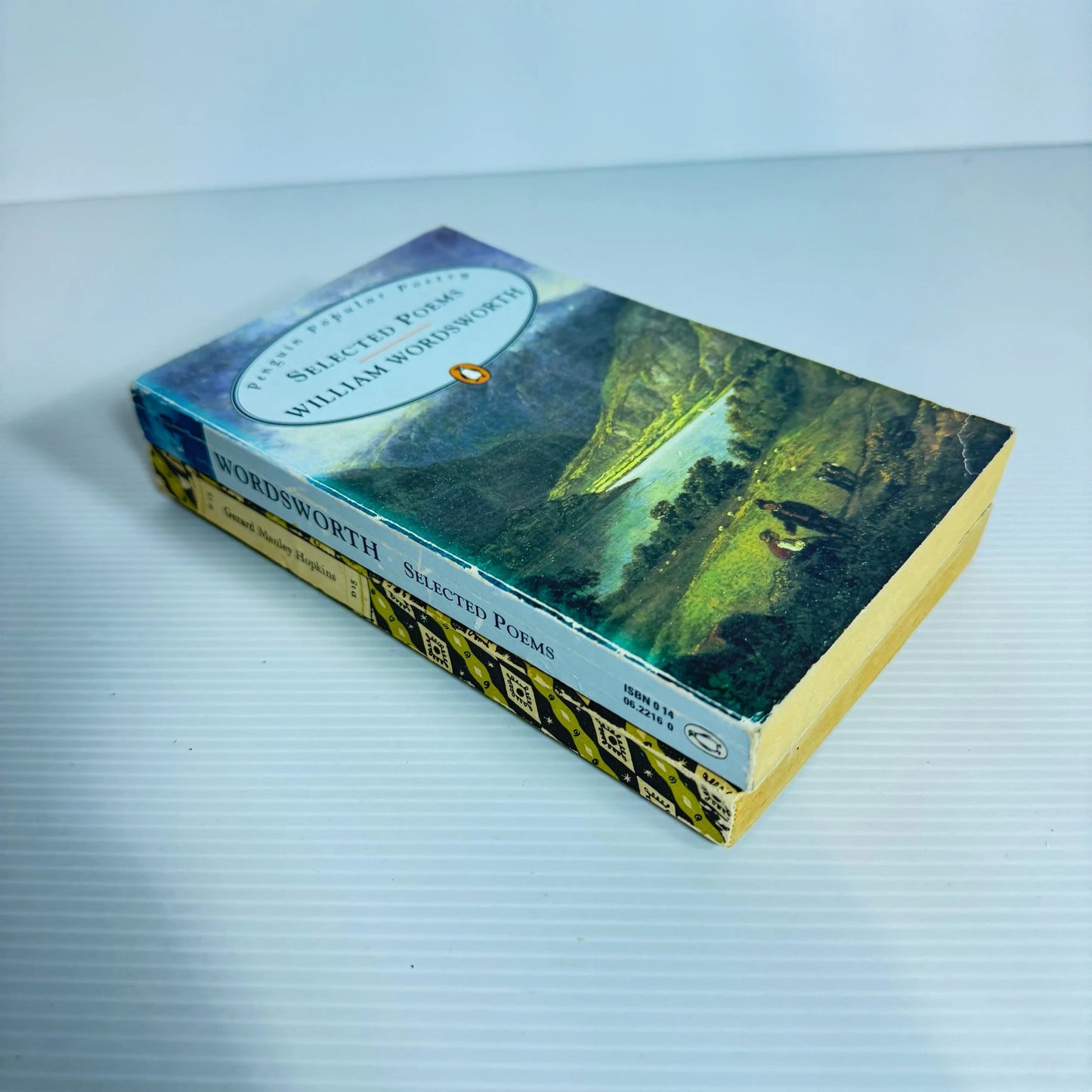 Poem Book Bundle x 2 : Gerard Manley Hopkins & Selected Poems by William Wordsworth (2056)