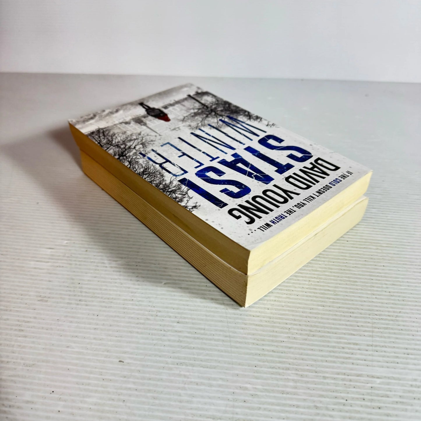 David Young Book Bundle x 2 Stasi Winter & Stasi 77  (352)