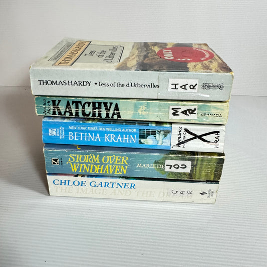 Historical Romance Bundle x 5 : Anyone But a Duke - Betina Krahn, Katchya - Jessica March, Tes of the D'Urbervilles - Thomas Hardy, Storm Over Windhaven - Marie De Jourlet, The Image and the Dream - Chloe Gartner(3411)