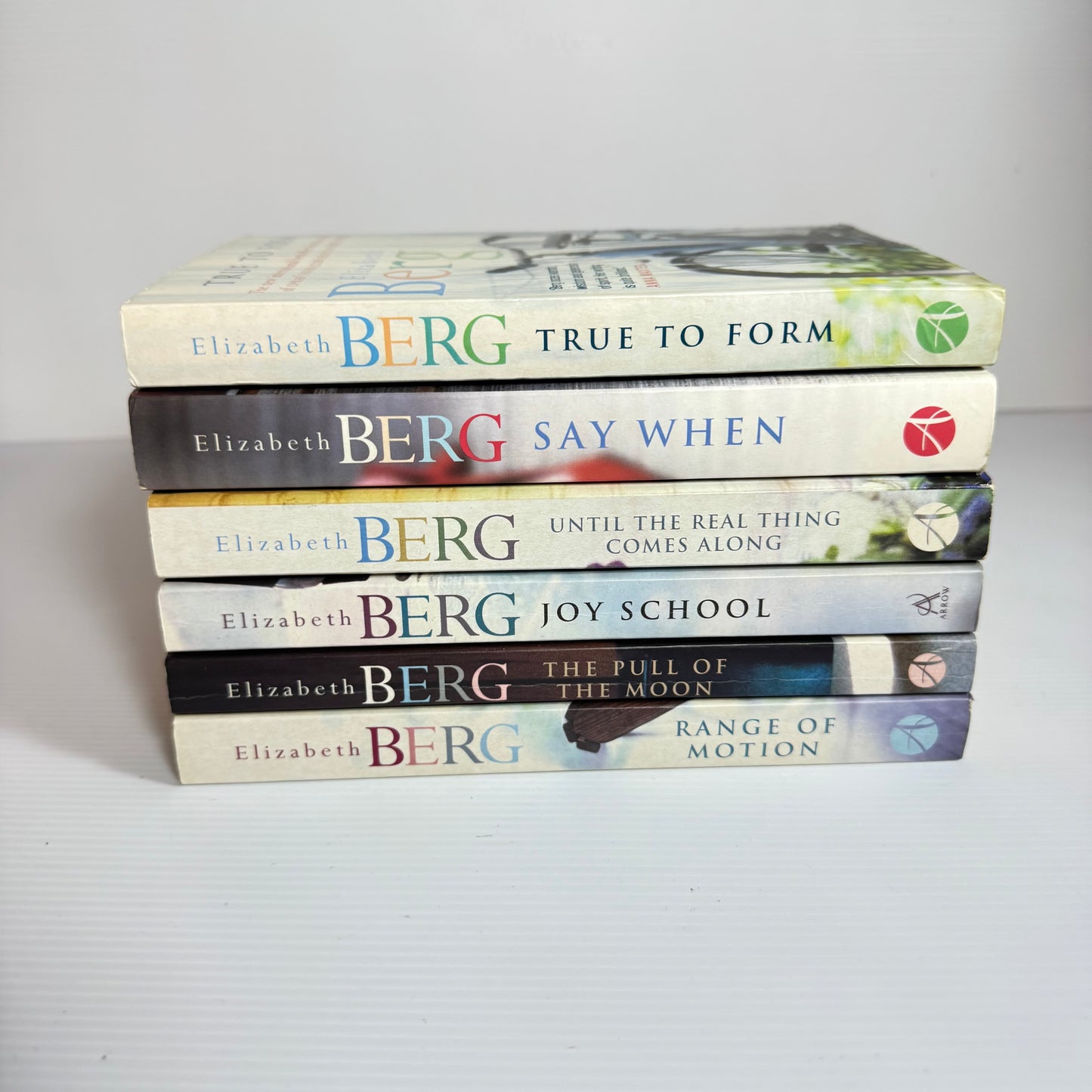 Elizabeth Berg Book Bundle x 6 : Say When, True to Form, Range of Motion, Joy School, The Pull of The Moon, Until The Real Thing Comes Along (3055)