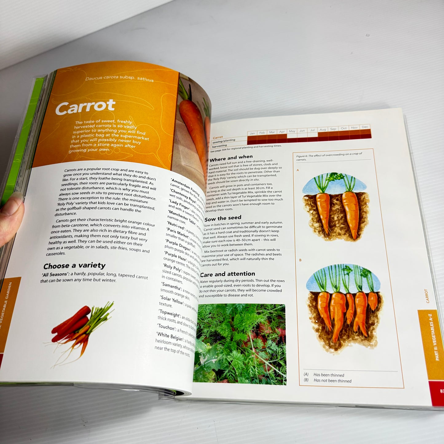 The Tui NZ Vegetable Garden (3rd Ed.) - Rachel Vogan
