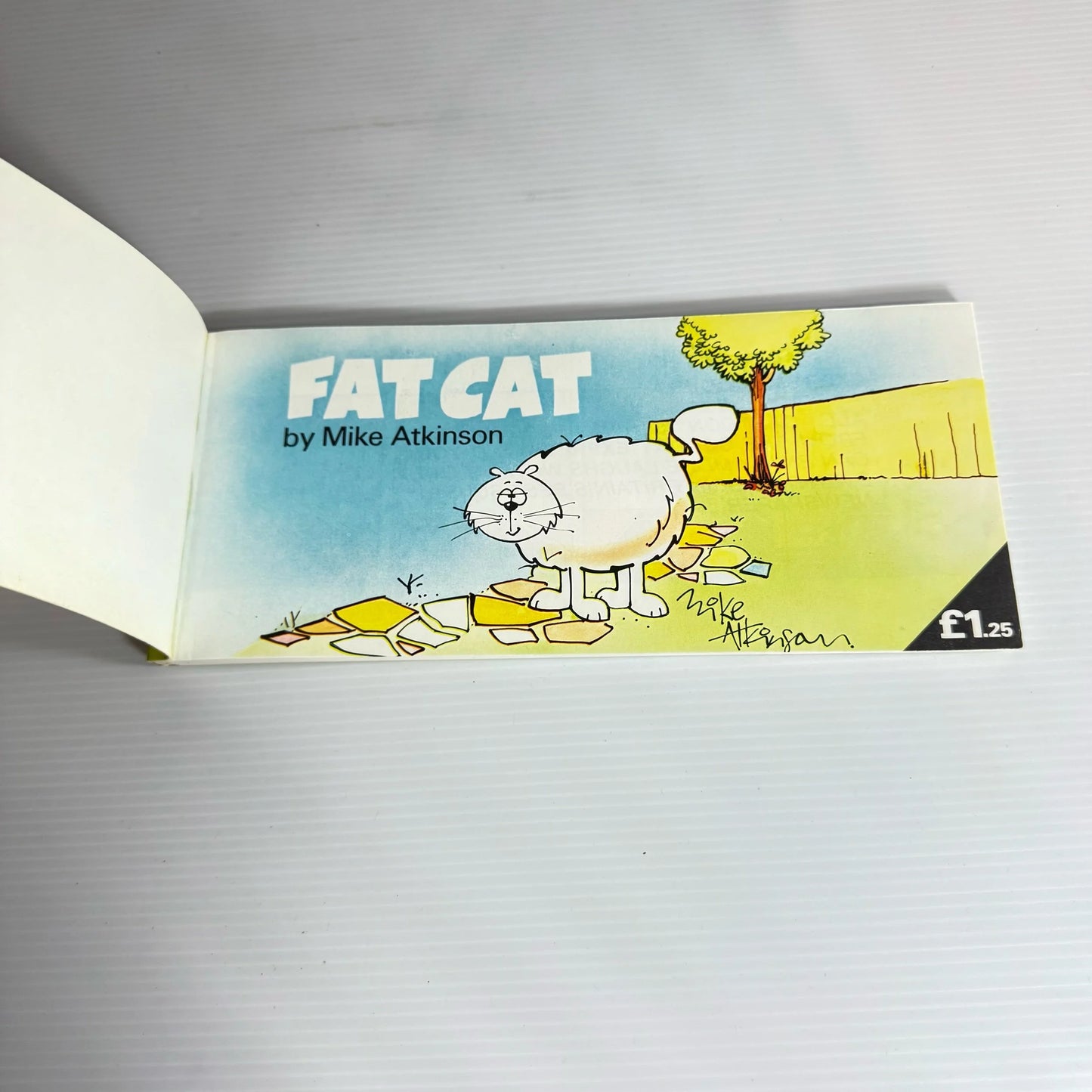 Fat Cat - Mike Atkinson (Vintage 1979)