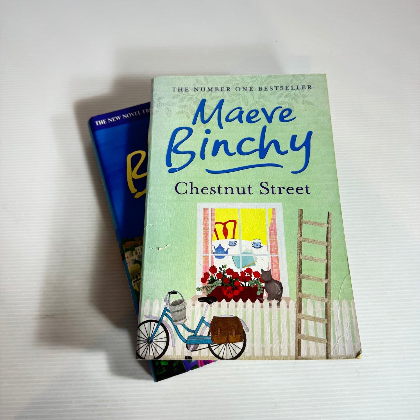 Maeve Binchy Book Bundle x 2 Books Chestnut Street & Nights of Rain and Stars (2447)