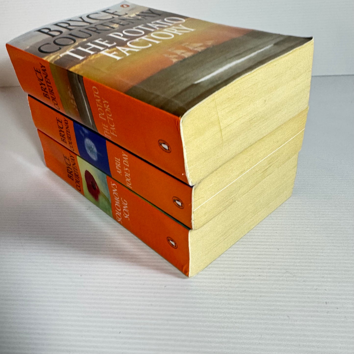 Bryce Courtenay Book Bundle x 3 Books : The Potato Factory, Solomon's Song, April Fool's Day(3128)