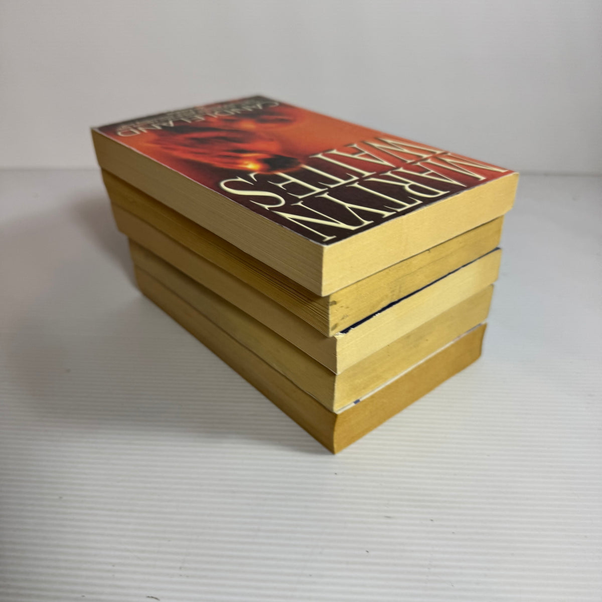 Action Adventure Thriller Bundle x 5 : Year Of The Tiger - Jack Higgins, The Perfect Husband - Lisa Gardner, Candleland - Martyn Waites, Animosity - David Lindsey, Confession - Elizabeth Gage(3416)