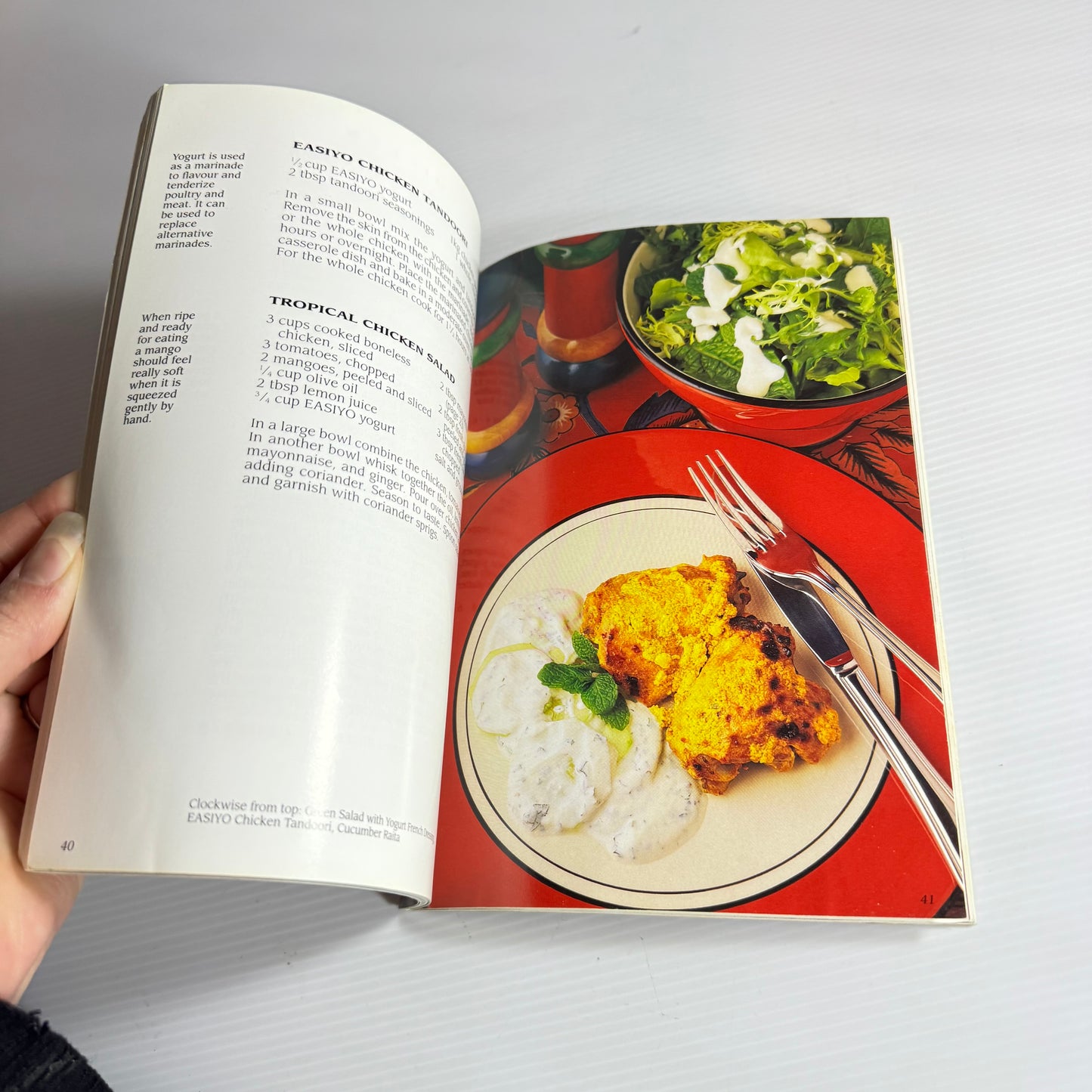 Yogurt Cookbook Bundle x 3 EasiYo Yogurt Cookbook & Fresh Yogurt Marking, Quick 'n' Easy Yogurt(3253)