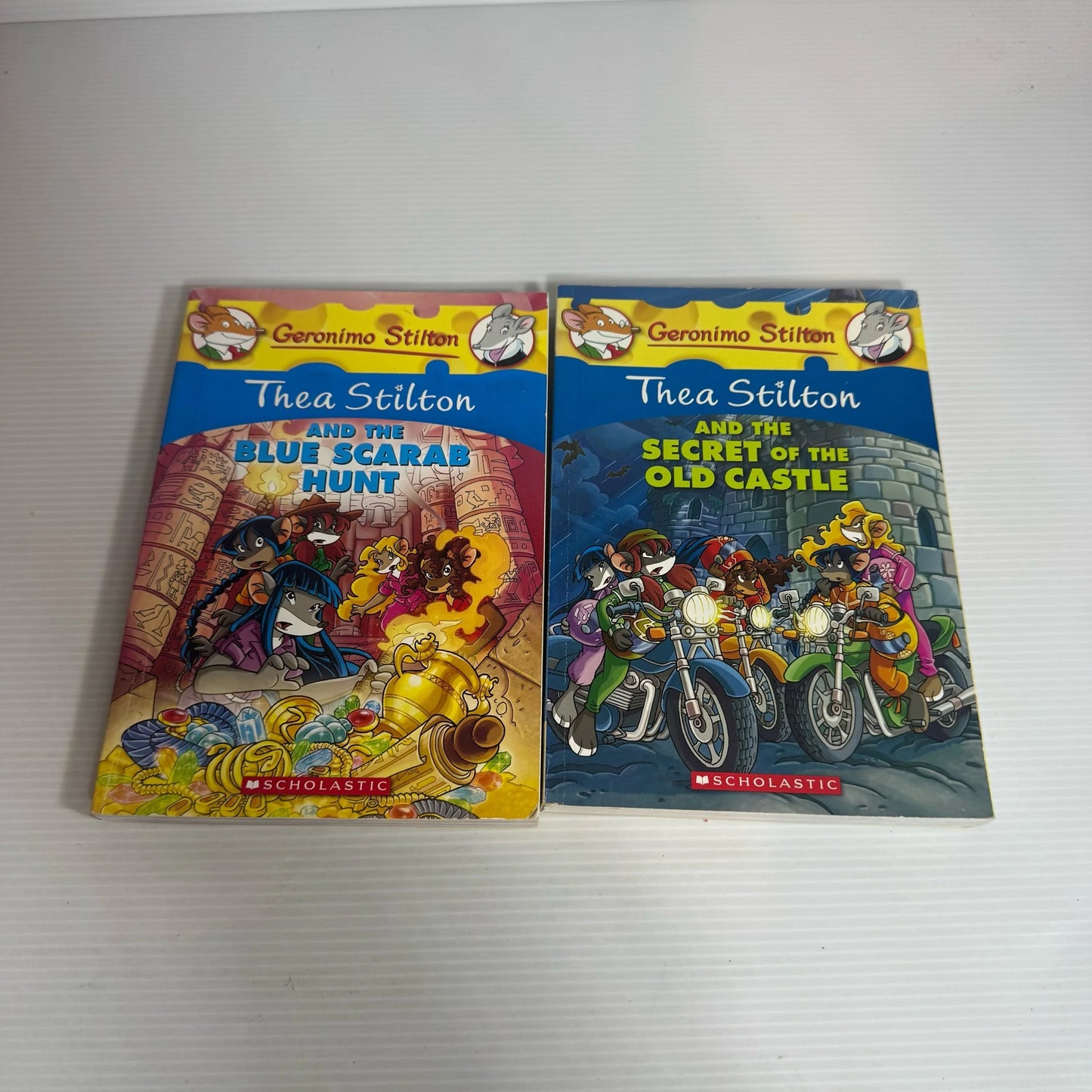 Children's Graphic Novel Book Bundle by Geronimo Stilton x 2 Books (2333)