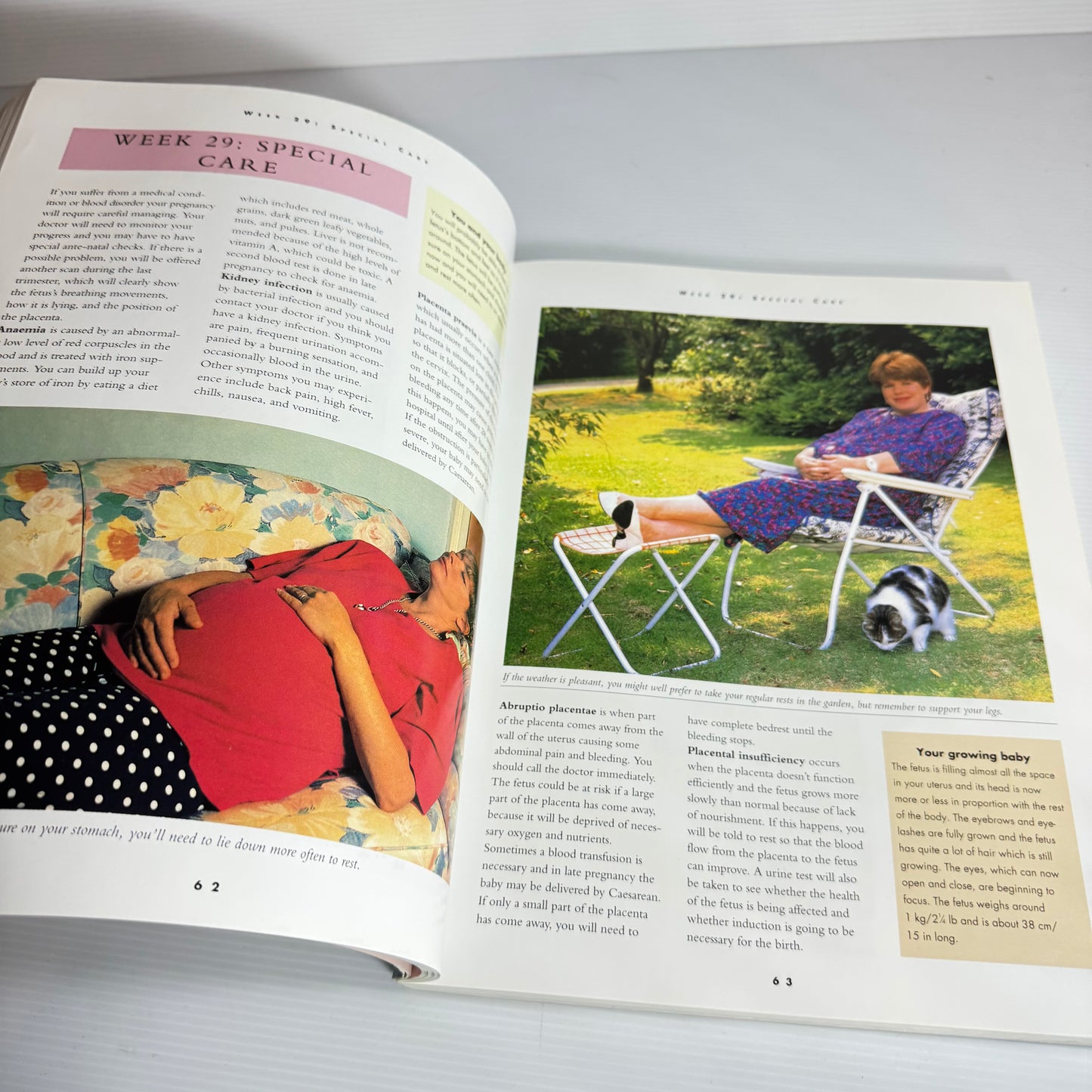 The Practical Encyclopedia of Pregnancy & Baby Care - Alison Mackonochie