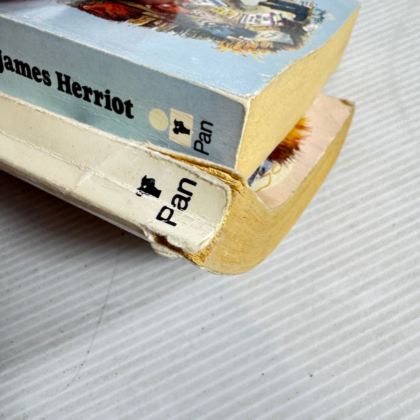 James Harriot Vintage Book Bundle x 2 - Vet In A Spin (1977) & The Lord God Made Them All (1982)(2837)