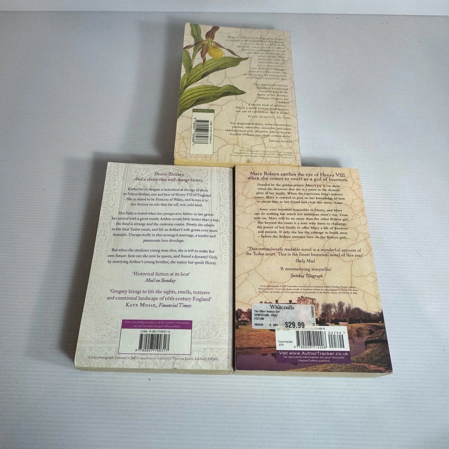 Philippa Gregory Book Bundle x 3 : The Other Boleyn Girl, The Constant Princess, Wideacre (2177)