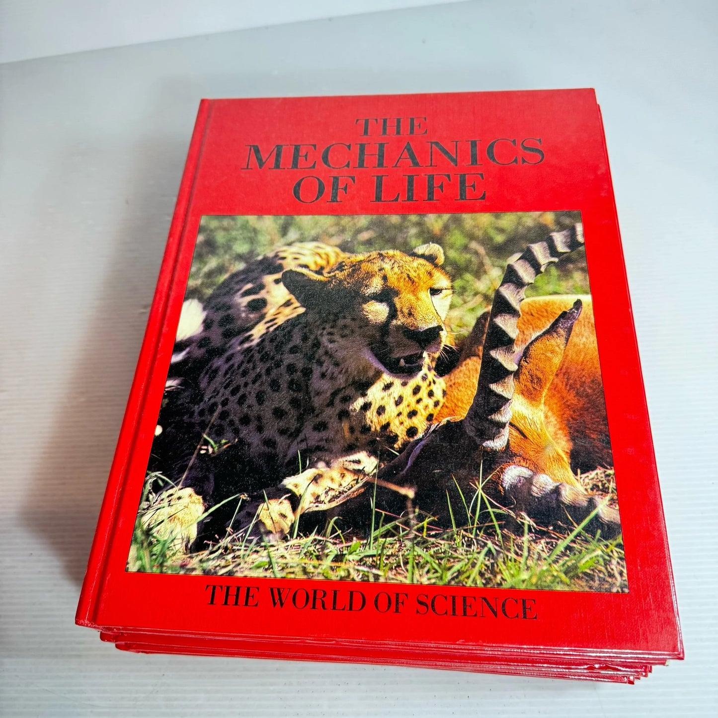 The World Of Science Book Bundle x 24 Books 1-24 (Vintage 1989)