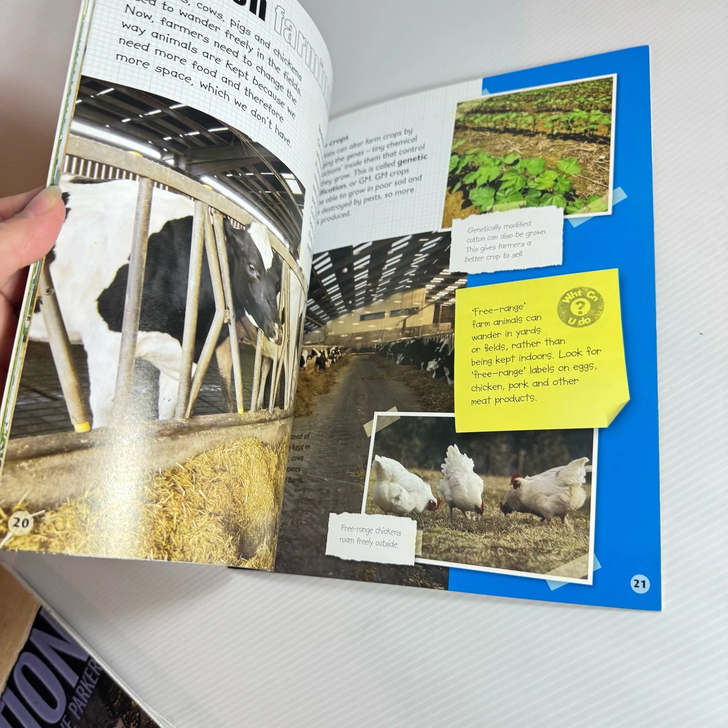 Changes In Book Bundle x 4 Books : Changes In Climate, Population, Food and Farming, Animal Habitats - Steve Parker