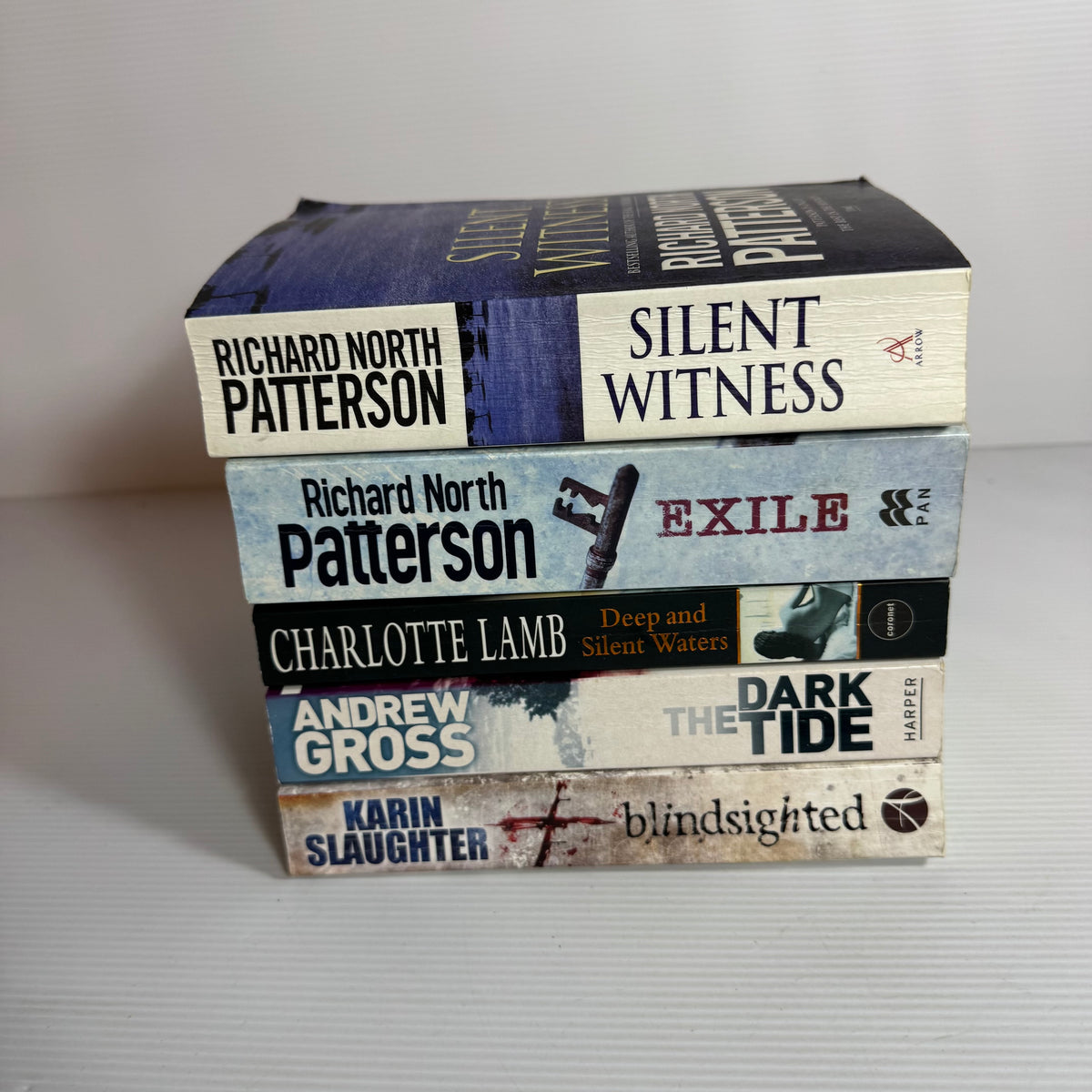 Thriller Suspense Bundle x 5 : The Dark Tide - Andrew Cross, Blindslighted - Karin Slaughter, Deep and Silent Waters - Charlotte Lamb, Exile & Silent Witness - Richard North Patterson (3444)