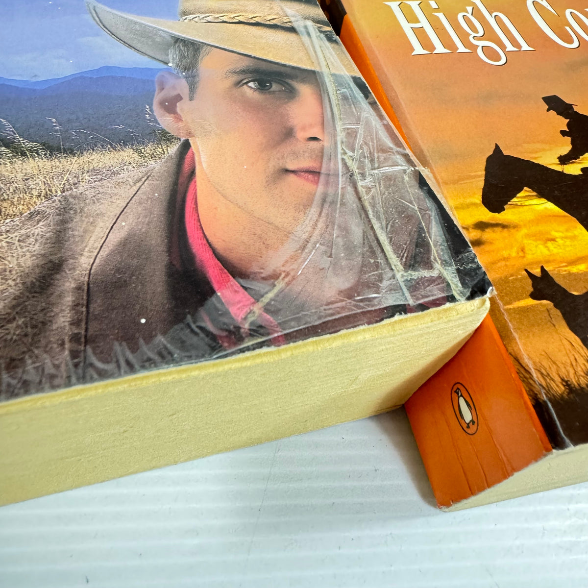 Tony Parsons Family Saga Bundle x 2 : The Call of the High Country & Return to the High Country (3385)