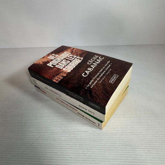 French Language Crime/Thriller Mixed Author Book Bundle x 3 Books (2581)