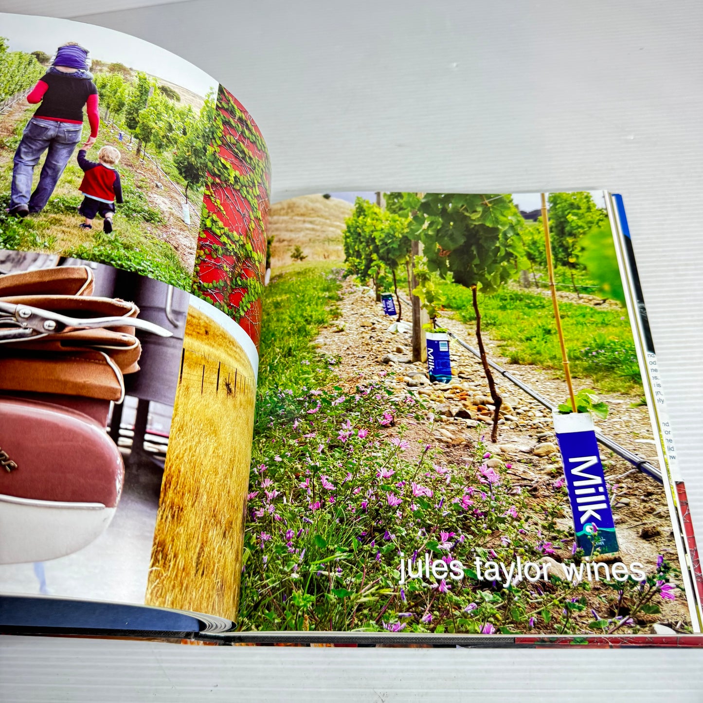 New Zealand Wine & Food Cookbook Bundle x 3 : Good Wine Bad Language Great Vineyards, corbans Good Food & Wine Series, New Zealand Food & Wine Art : A New Journey (2936)