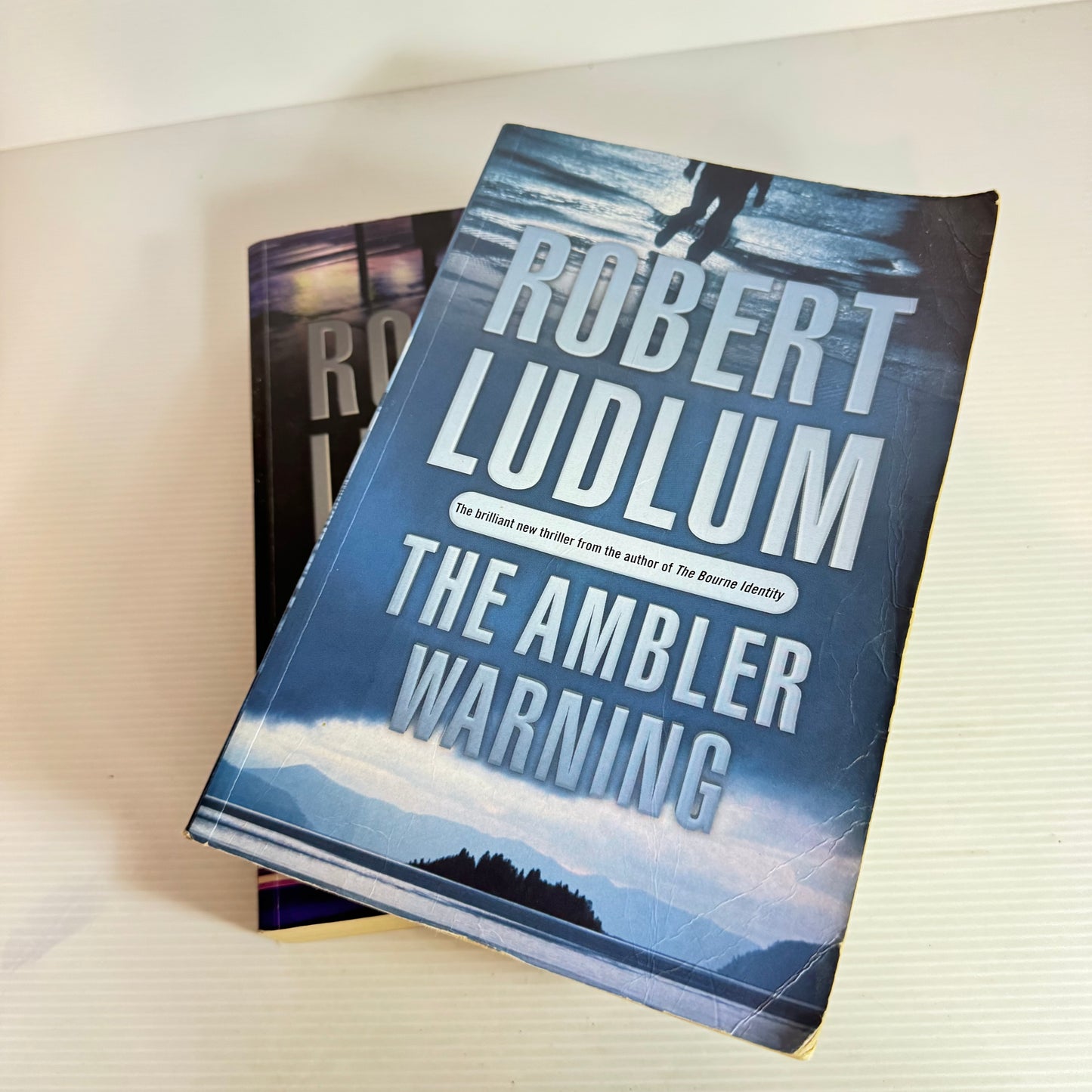 Robert Ludlum Book Bundle x 2 : The Janson Directive & The Ambler Warning (2466)