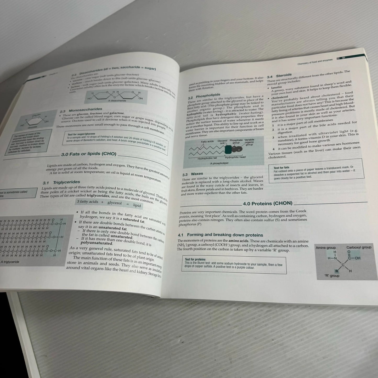 Patterns Of Life For NCEA Level 2 & NCEA Level 2 Biology Workbook - Meg Bayley
