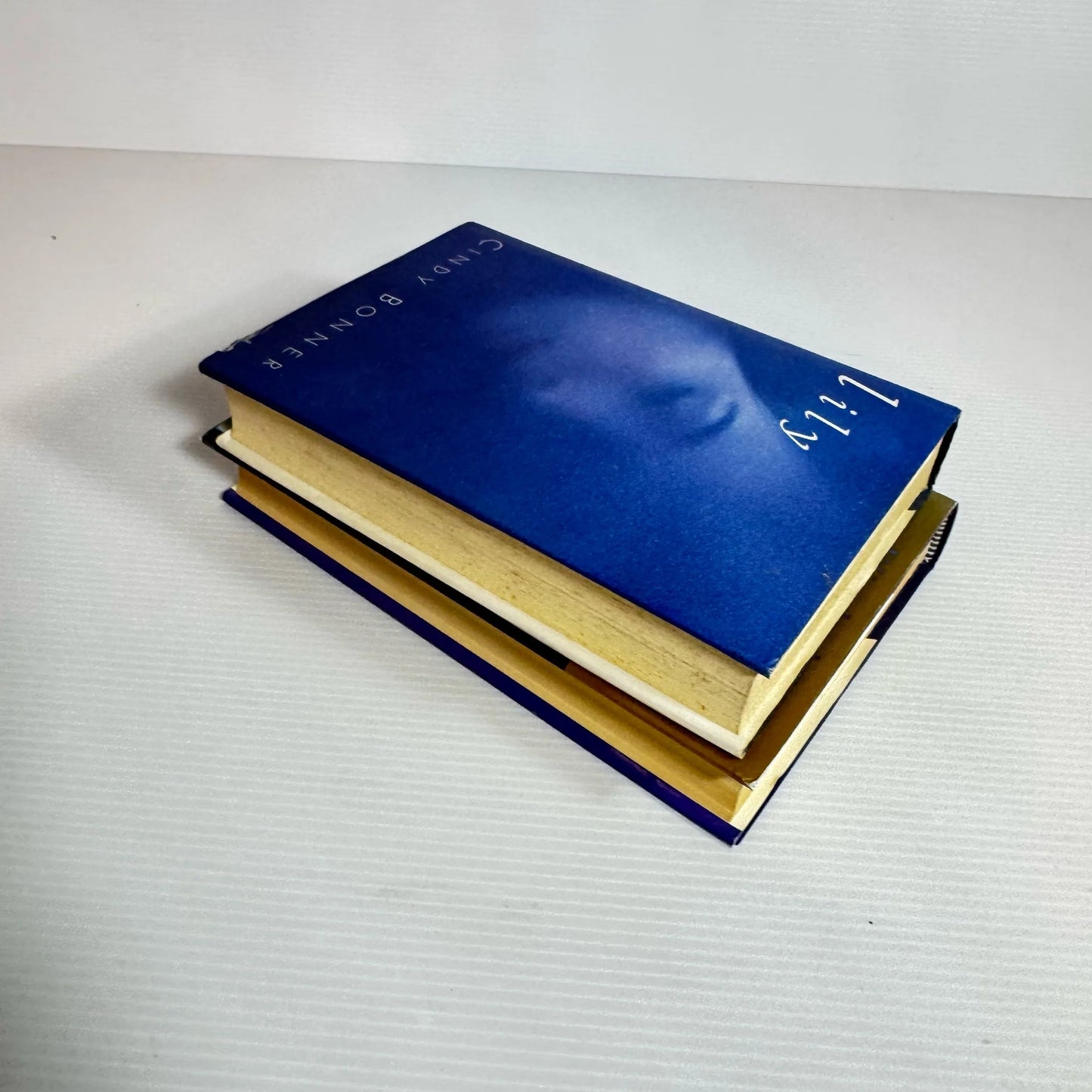 Romance Book Bundle x 2 Books : Against Her Nature - Elizabeth Buchan & Lily - Cindy Bonner (2228)