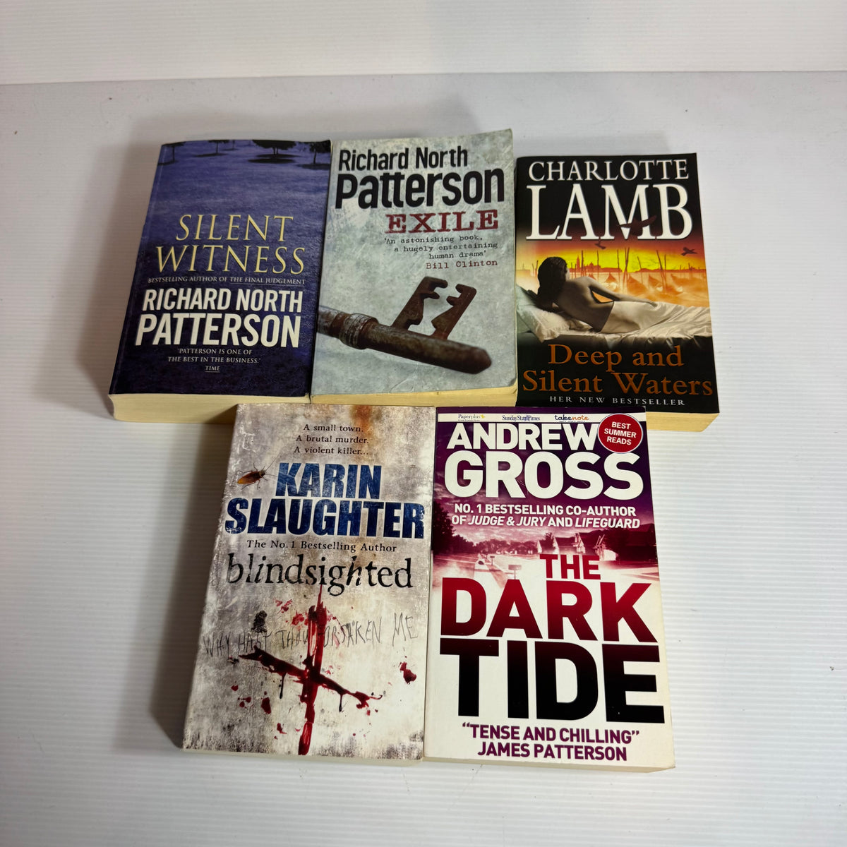 Thriller Suspense Bundle x 5 : The Dark Tide - Andrew Cross, Blindslighted - Karin Slaughter, Deep and Silent Waters - Charlotte Lamb, Exile & Silent Witness - Richard North Patterson (3444)