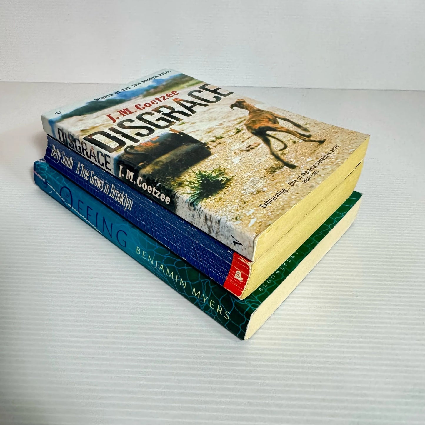 Contemporary Book Bundle x 3 Books : Various Authors (2053)