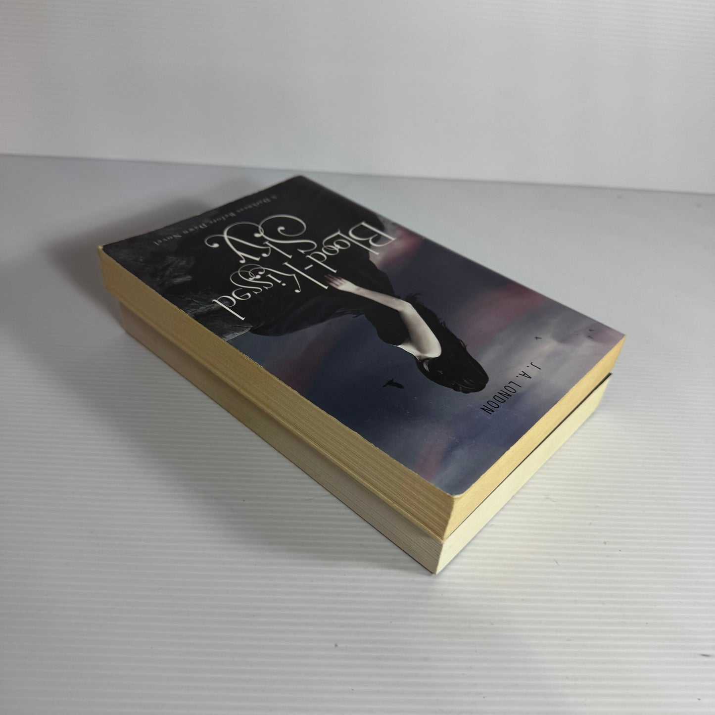 J.A. London A Darkness Before Dawn Book Bundle x 2 : Blood-Kissed Sky & After Darkbreak (3113)