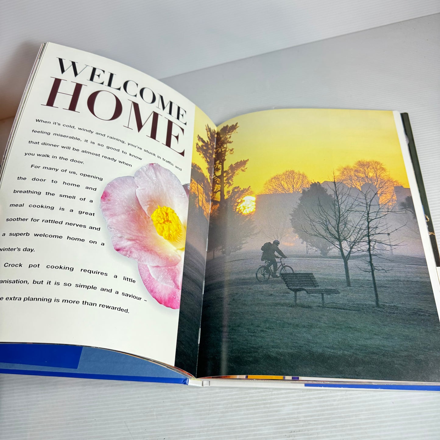 New Zealand Hardcover Cookbook Bundle x 3 : Taste of New Zealand : Winter, Country New Zealand : A Culinary Journey, The Beautiful New Zealand Cookbook - Tui Flower (2932)