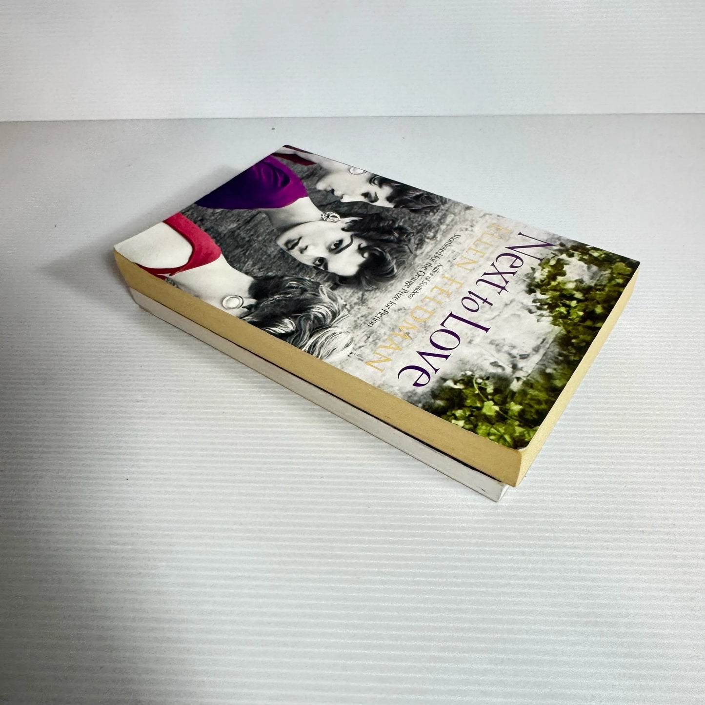 Fiction Book Bundle x 2 Books : Seraphim Blues - Steven Cannaway & Next to Love Ellen Feldman (2145)