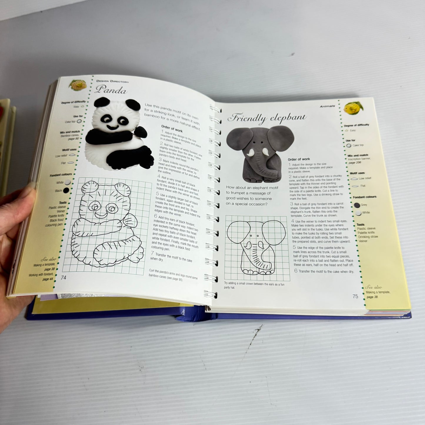 Cake Decoration Book Bundle x 2 Books (3222)