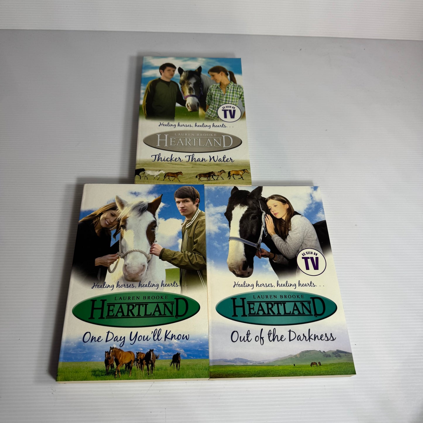 Lauren Brooke Heartland Horse Series Book Bundle x 9 Books (3184)
