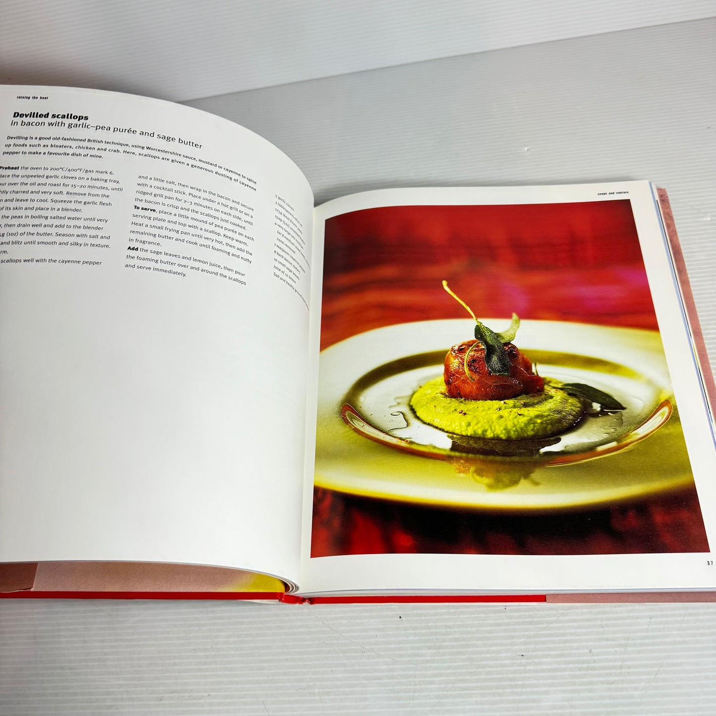 Hot & Spicey Cookbook Bundle x 2 : Hot Food & Raising the Heat : Cooking with Fire and Spice - Paul Gayler(2939)