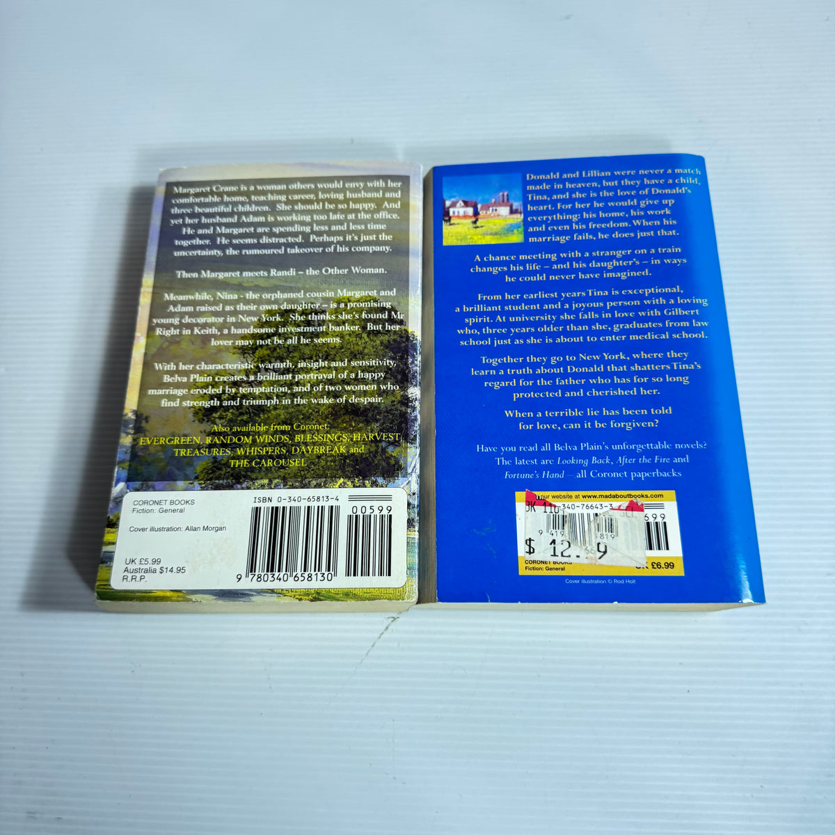 Belva Plain Bundle x 2 - Her Father's House & Promises (3426)